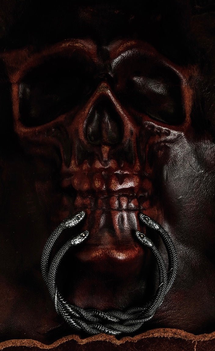 Silver Double Snake Bracelet