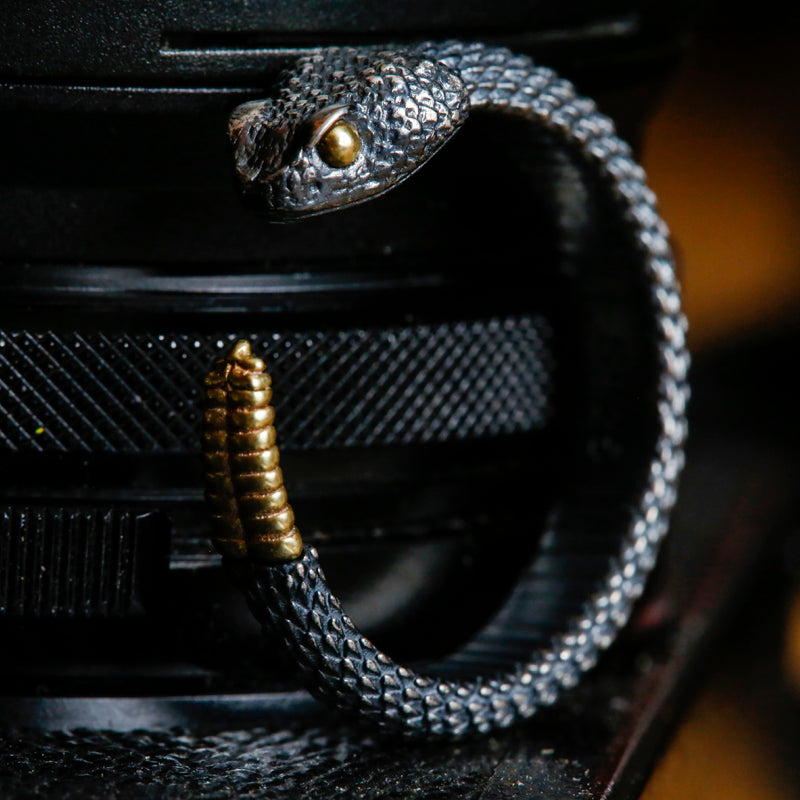 Silver and Brass Rattlesnake Ring