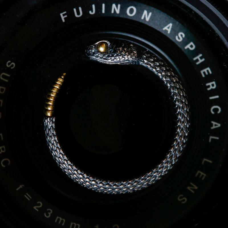 Silver and Brass Rattlesnake Ring