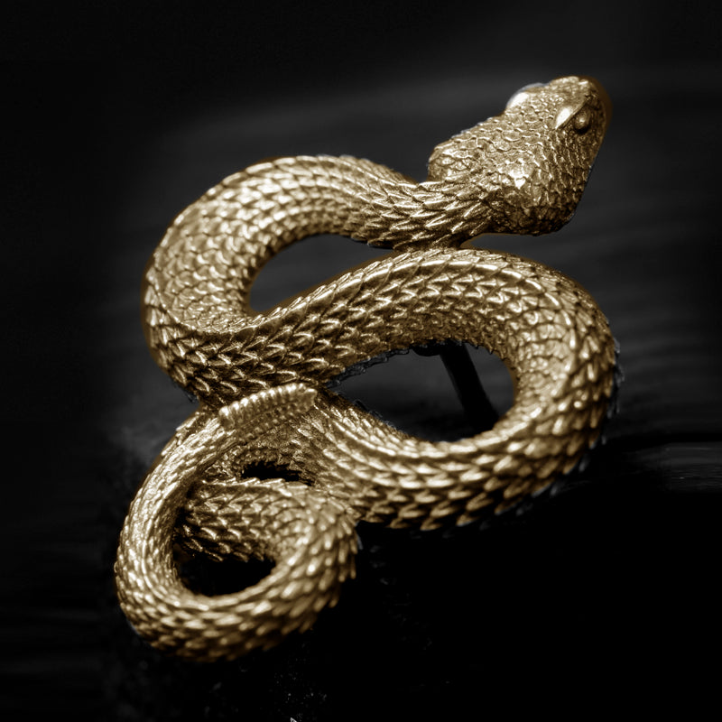 Brass Rattlesnake Brooch