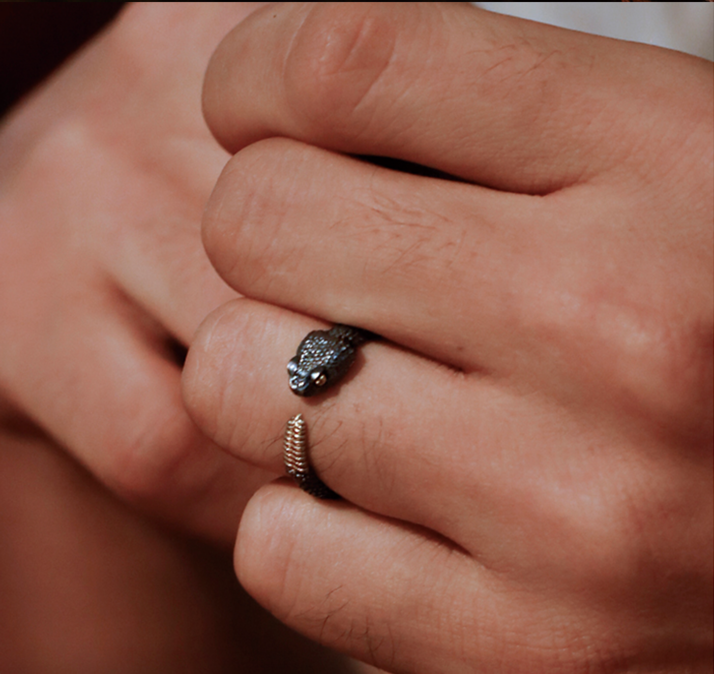 Silver and Brass Rattlesnake Ring
